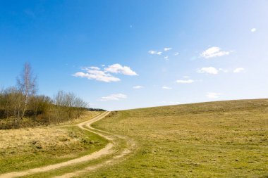 Kırsal bir toprak yol, güzel güneşli bir havada, ormanın kenarında, mavi gökyüzüne karşı kıvrılarak uzanır. İç dekorasyon için resim olarak kullanılabilir. Dokunulmamış doğa. Pankart