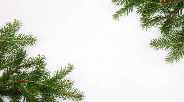 Noel ağacı dalları olan boş bir kartvizit. Yeni yıl kutlaması pankartı. Hediye çeki. Üst Manzara. Minimalist model. Bir etkinliğe ya da partiye davetiye. Reklam bilgileri.