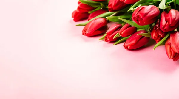 Ricco Bouquet Tulipani Rossi Sfondo Rosa Bello Biglietto Visita Festivo — Foto Stock