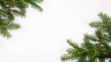 Noel ağacı dalları olan boş bir kartvizit. Yeni yıl kutlaması pankartı. Hediye çeki. Üst Manzara. Minimalist model. Bir etkinliğe ya da partiye davetiye. Reklam bilgileri.