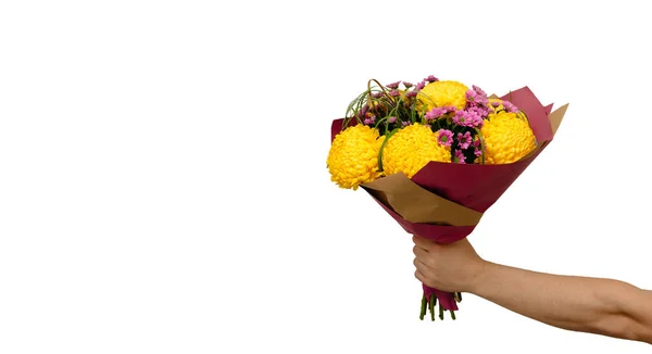 Mão Masculina Segurando Buquê Exuberante Crisântemos Amarelos Rosa Isolados Fundo — Fotografia de Stock