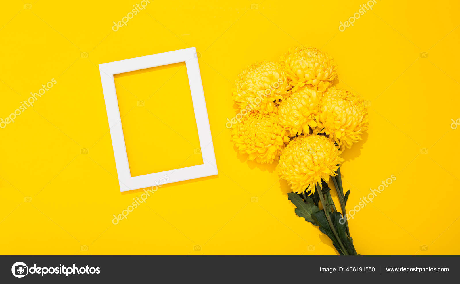 一束郁郁葱葱的菊花和白色的画框躺在黄色的背景上并留有复制的空间假日或空白名片情人节快乐2月14日3月8日妇女日母亲节五月八日 一束郁郁葱葱的菊花和白色的画框躺在黄色的背景上并留有复制的空间假日或空白名片情人节快乐2月14日3月8日妇女日母亲节五月八日
