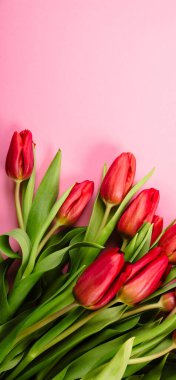 Pembe arka planda zengin bir buket kırmızı lale. Güzel şenlikli kartvizit ya da fotokopi alanı olan tebrik mesajı. Merhaba bahar. 14 Şubat Sevgililer Günün kutlu olsun. Kadın Günü 8 Mart.