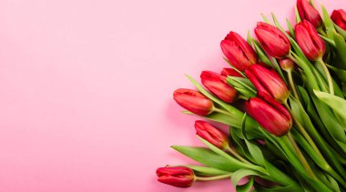 Pembe arka planda zengin bir buket kırmızı lale. Güzel şenlikli kartvizit ya da fotokopi alanı olan tebrik mesajı. Merhaba bahar. 14 Şubat Sevgililer Günün kutlu olsun. Kadın Günü 8 Mart.
