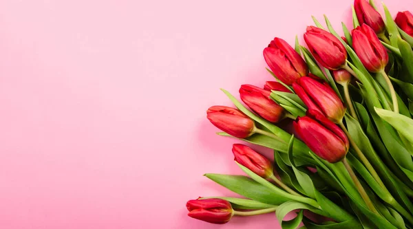 ピンクの背景に赤いチューリップの豊かな花束 コピースペースとお祝いのテキストのための美しいお祝いの名刺や証明書 ハッピーバレンタインデー2月14日 女性の日3月8日 — ストック写真