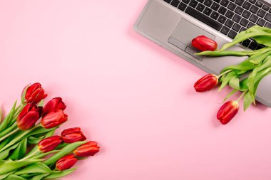 Pembe kâğıt üzerinde kırmızı lale buketi ve iş yerinde dizüstü bilgisayar. Metin için fotokopi alanı olan blog 'un tanıtımı ya da görselleştirilmesi için şablon. Kartvizit. Tatil belgesi. Pankart.