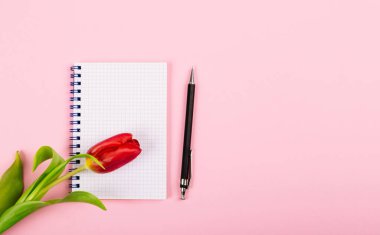 Pembe masa arkasında kırmızı lale ve kalem olan spiral not defterini aç. Metin için fotokopi alanı olan blog 'un tanıtımı ya da görselleştirilmesi için şablon. İş kartviziti. Sertifika modeli. Üst görünüm.