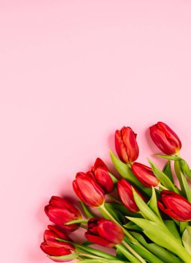 Pembe arka planda zengin bir buket kırmızı lale. Güzel şenlikli kartvizit ya da fotokopi alanı olan tebrik mesajı. Merhaba bahar. 14 Şubat Sevgililer Günün kutlu olsun. Kadın Günü 8 Mart.