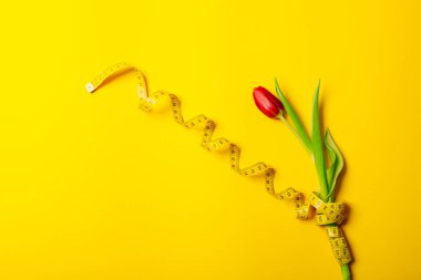 Sarı arkaplanda kırmızı lale ve santimetre bant. Kopya alanı, metin yeri. Fitness tebrik kartı. Uluslararası Kadın Günü ya da Anneler Günü. El işi hobisi dükkanı dikiyorum. Çiçekçi. Zayıflama