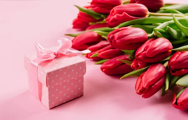 Beyaz puantiyeli pembe kurdeleli hediye kutusu bir buket kırmızı lalenin arka planında metin için fotokopi alanı var. Duvar kağıdı ya da hediye dükkanı, çiçekçi ya da kuyumcu için afiş. Sevgililer Günü.