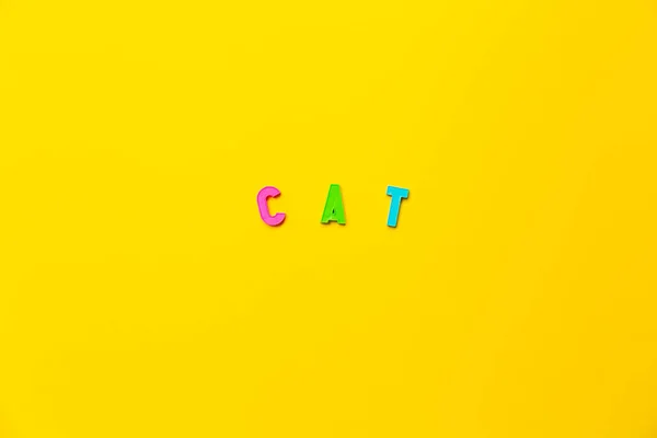 猫这个词是由黄色背景上带有磁铁的彩色塑料字母制成的 具有复制空间和文字位置 学前教育以一种有趣的色彩形式作为一种游戏 一个简单的词一个动物 — 图库照片