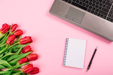 Laptop, spiral defter ve kalemle pembe kağıt zemin üzerinde kırmızı lale demeti, blog 'un tanıtım ve görselleştirilmesinde kullanılan bir şablon. İş tatili. Sertifika