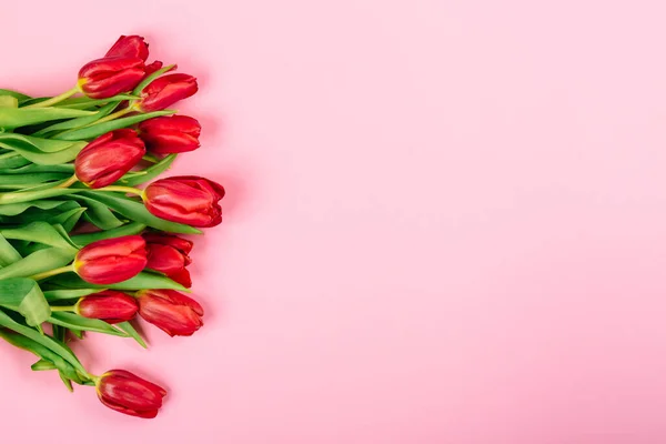 Banner Com Buquê Tulipa Vermelha Exuberante Fundo Rosa Com Espaço — Fotografia de Stock