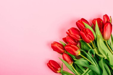 Fotokopi alanı ve metin yeri olan pembe arkaplanlı, gür kırmızı lale desenli pankart. Çiçekçi reklamının taslağı. Sevgililer günün kutlu olsun. Âşık ol. Minimalizm. Güzel hediye çeki.