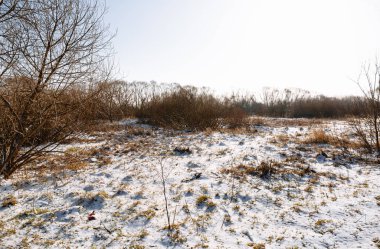 Mülk geliştirme için arazi ıslahı. Açık artırmada indirim. Ticari bina. Bölgeye toprak ekliyorum. Arazi temizliği. Kış mevsimi. Saha temiz. Pankart. Kırsal kesimde. Çiftlik.