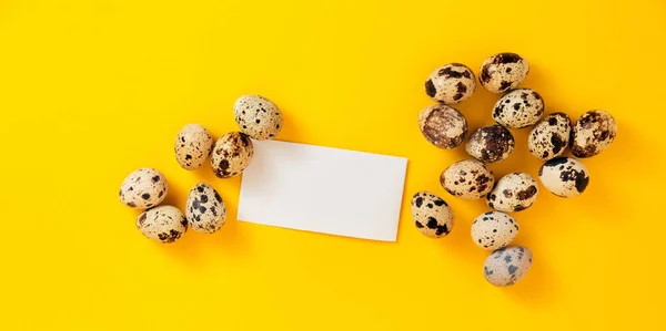 Banner with visiting card, quail eggs, feather on yellow paper background. Copy space. Empty text place. Mockup design of Easter holiday decoration. Healthy food. Business card. Paper note, message.