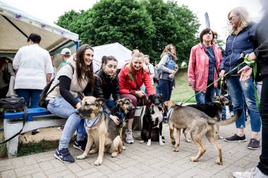 23 Haziran 2018 'de sokak hayvanı Minsk Belarus' un gönüllü sergisi. Bir grup insan köpeklerin yanında mutlu. Keyfin yerinde. Tasmalı beş büyük hayvan. Ziyaretçiler eşlerini seçerler. Bağımsız kadınlar.