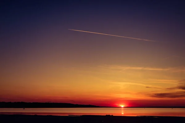 青とピンクのグラデーションの空の上に明るい夕日の意志の枝を通して夕日の景色 — ストック写真