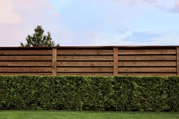 Side view on a wooden fence made of horizontal planks. Landscaping. Green lawn, trimmed bushes, pine top. Outside territory. Private country house. Landscape design. Copy space. Neighbor separation.