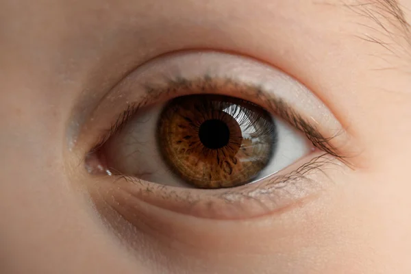 Beautiful big brown eye close-up. Caucasian appearance. Part of a child\'s body. Dark saturated color. Eyesight check. Macro. Happy childhood. Caring for the health of vision. Good emotion. Happiness.