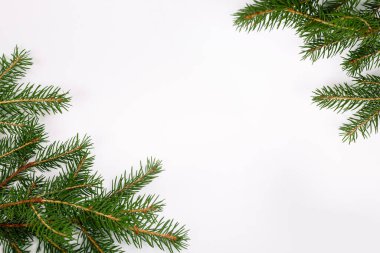 Noel ağacı dalları olan boş bir kartvizit. Yeni yıl kutlaması pankartı. Hediye çeki. Üst Manzara. Minimalist model. Bir etkinliğe ya da partiye davetiye. Reklam bilgileri.