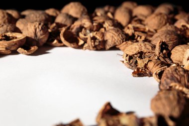 Boş ceviz kabuğu çerçevesi. Beyaz yer geçmişi olan desenli fındık kenarı. Kartvizit. Model tasarım sertifikası. Alternatif yakıt. Uzayı kopyala Yemek israfı. Kahverengi renk. Şablon. Pankart. Yan görünüm.