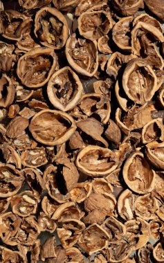 Bir sürü boş ceviz kabuğu. Dokulu arka plan. Alternatif yakıt. Yakın plan. Uzayı kopyala Yemek israfı. Kahverengi renk. Duvar kağıdı. Pankart. Karanlık arka planda güzel, sakin bir hayat. Üst Manzara. Kocaman bir yığın. Küf.