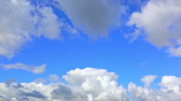 Nuvens Brancas Fundo Céu Azul Dia Ensolarado Parte Nublado Previsão — Vídeo de Stock