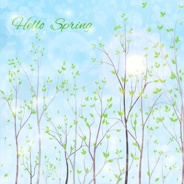 Spring background, park — Stock Vector