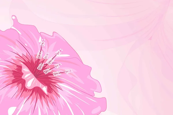 Flor rosa — Archivo Imágenes Vectoriales