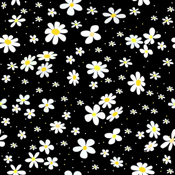 Chamomile on black — Stock Vector