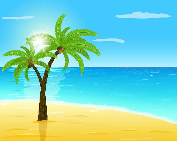 Пальма на морском пляже — стоковый вектор