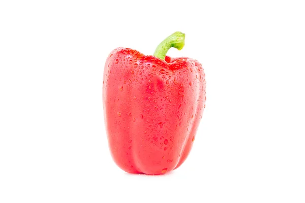 Paprika röd färg — Stockfoto