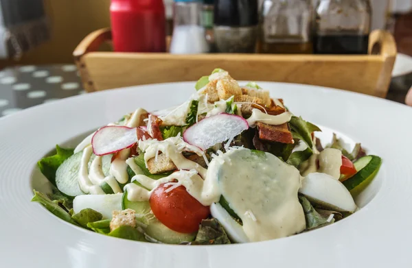 Caesarsalade — Stockfoto