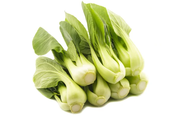 Chinese cabbage — Stock Photo, Image