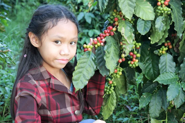 Meisje in de koffieplantages — Stockfoto