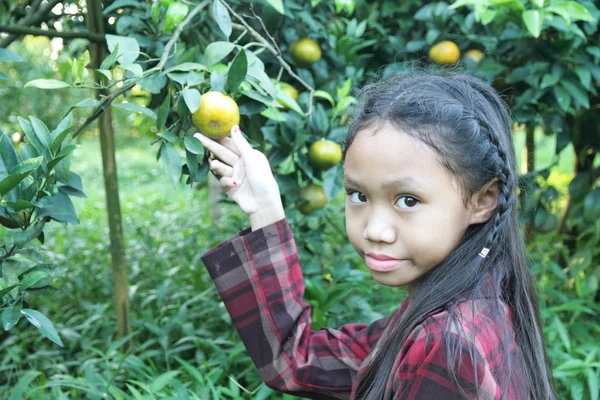 Menina em plantações de laranja — Fotografia de Stock