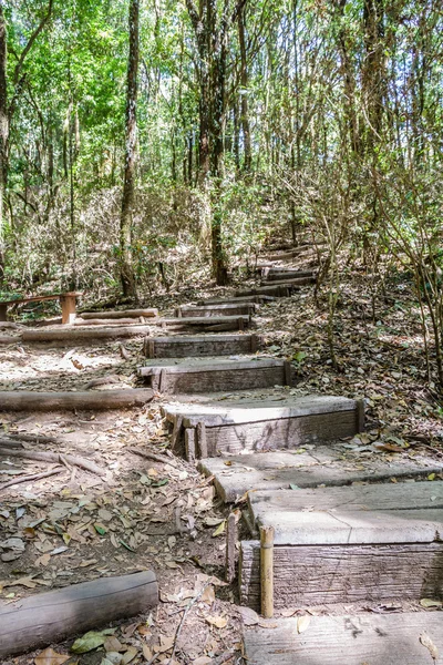 Forest footpath — Stock Photo, Image