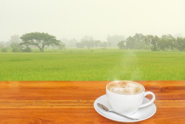 Kahve ve pirinç alan.