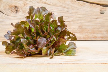 Kırmızı meşe marul