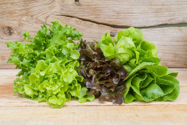 Gemüsesalat — Stockfoto