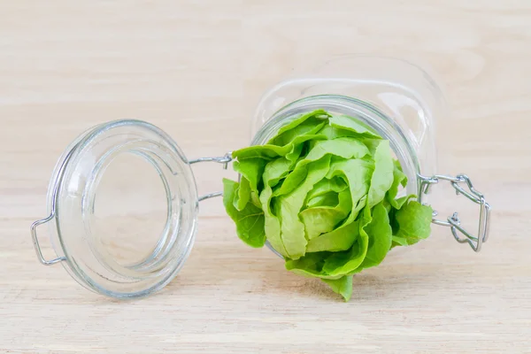 Butter head in glass jar. — Stock Photo, Image