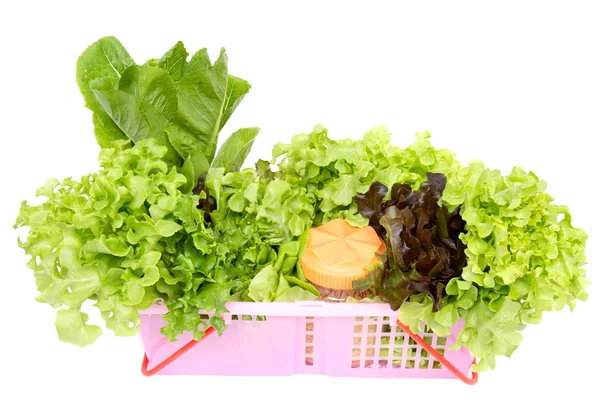 Gemüsesalat — Stockfoto