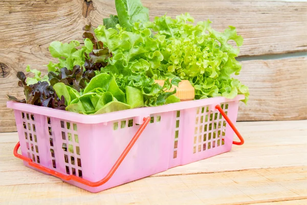 Mix Vegetable Salad — Stock Photo, Image