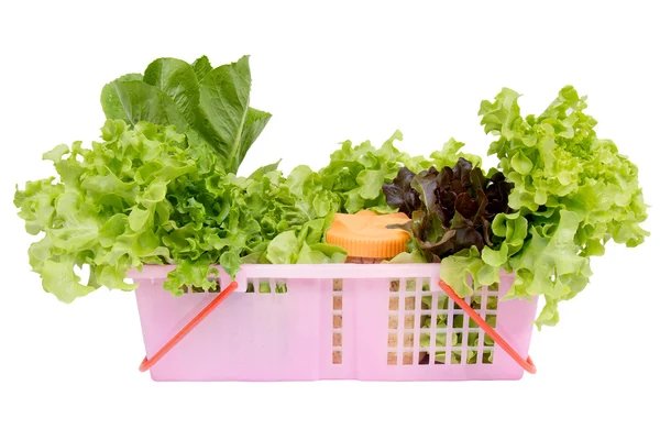 Vegetable Salad in pink b — Stock Photo, Image