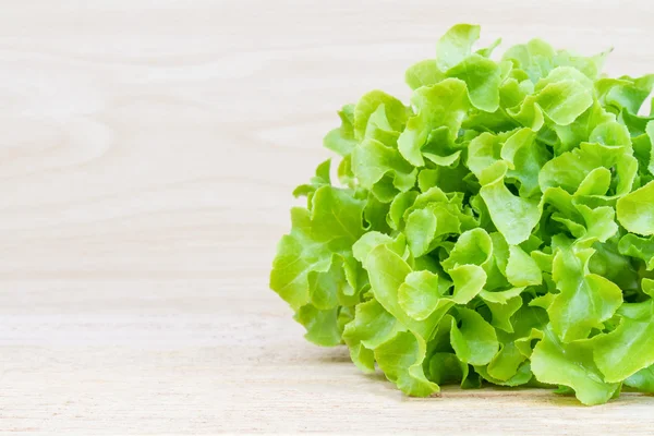 Grüner Eichensalat — Stockfoto