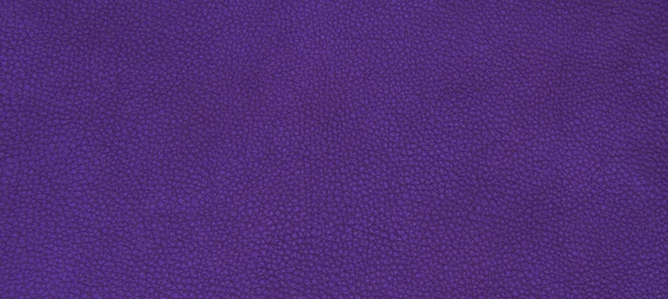 紫の革の質感 — ストック写真