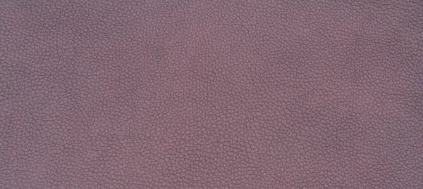 Leather brown texture — Stock Photo, Image