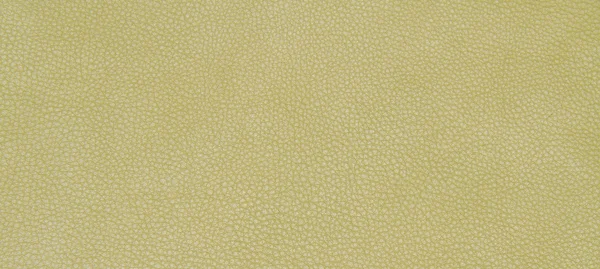 Leather green texture — Stock Photo, Image