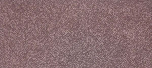 Texture marron cuir — Photo